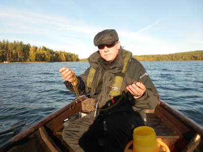 Kommunens sötvattenforskare Tommy Vestersund visar upp den trådliknande vattenväxten som breder ut sig i Skidtjärn.